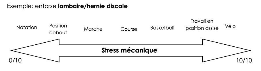 Quantification du stress mécanique hernie