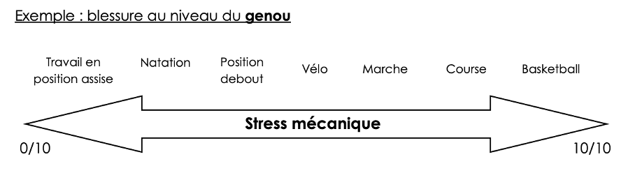 Quantification du stress mécanique genou